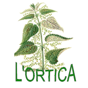 Associazione L’Ortica APS