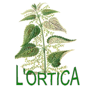 logo ortica 300x300 transparent