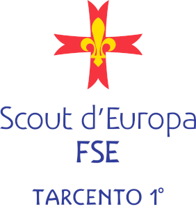 Scout Tarcento