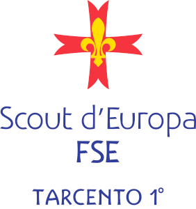 logo scout 300x300 transparent